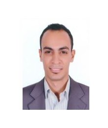 Amr shawki <br> Customer Coordinator